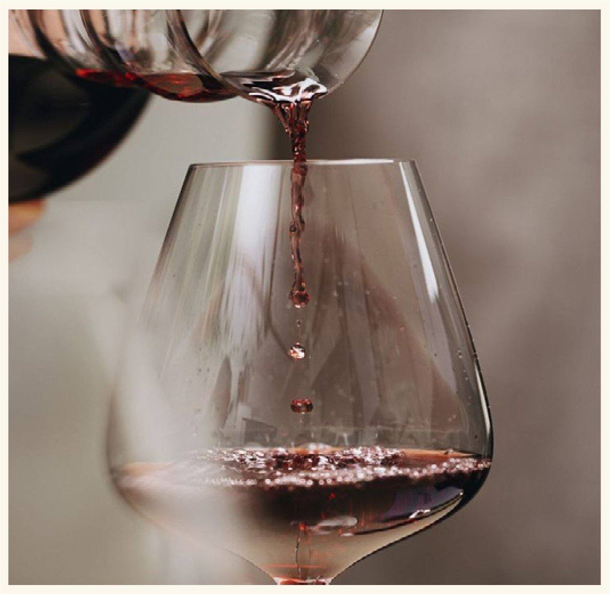 Wine Club, referencia
